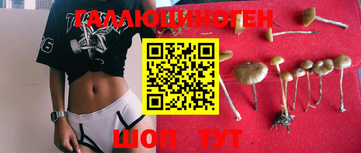 Галлюциногенные грибы GOLDEN TEACHER Обнинск