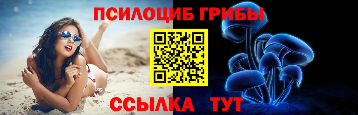 Галлюциногенные грибы Psilocybe  магазин продажи   Обнинск  Вход с VPN 